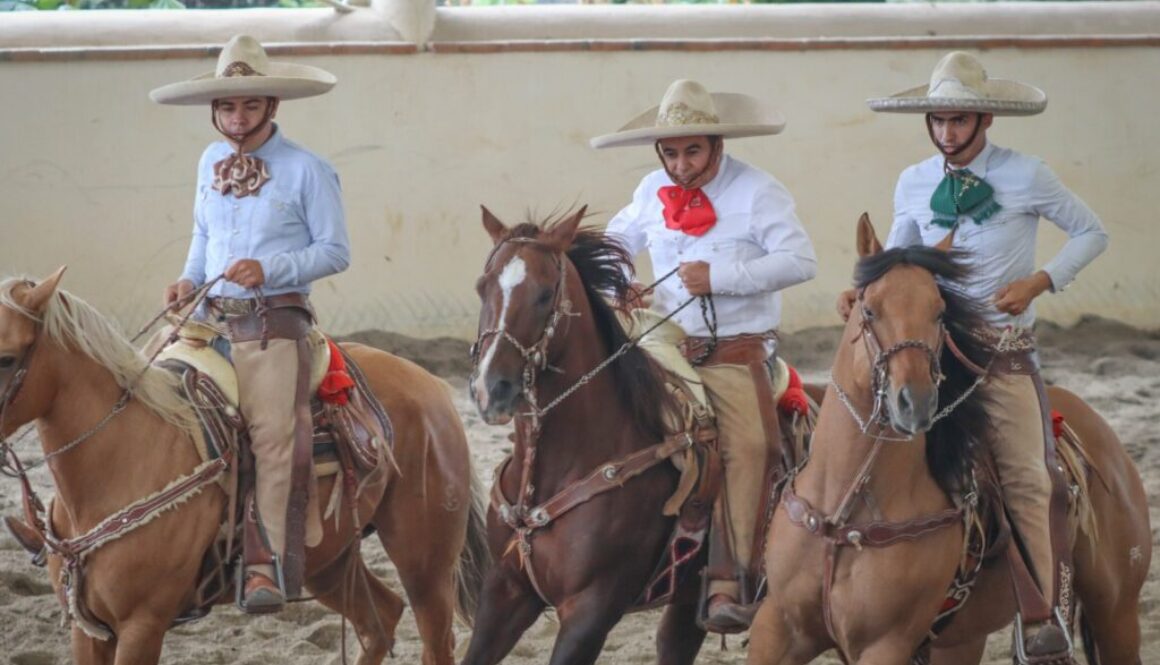 Imagen de WhatsApp 2025-09-17 a las 11.51.44_9e56c53d