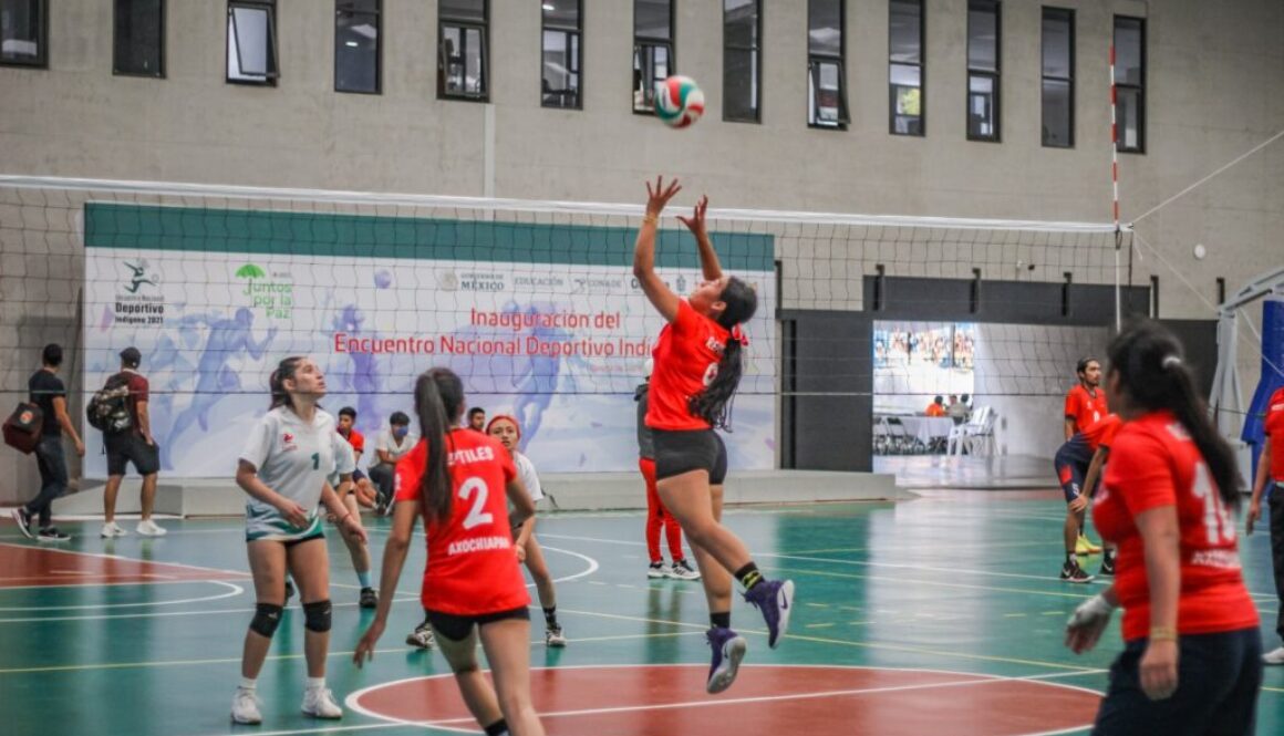 Imagen de WhatsApp 2025-09-19 a las 10.41.12_41327534