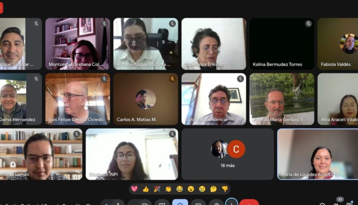 Imagen de WhatsApp 2025-09-19 a las 15.10.11_2ce2f1c6