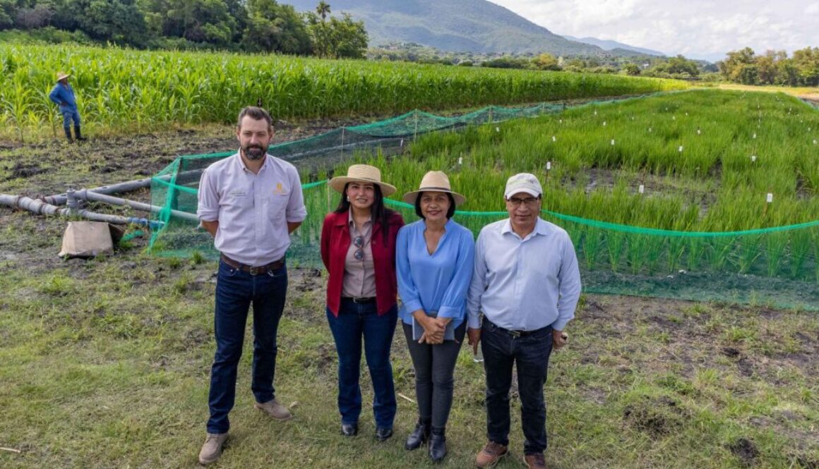 Imagen de WhatsApp 2025-09-22 a las 09.01.35_317a8d15