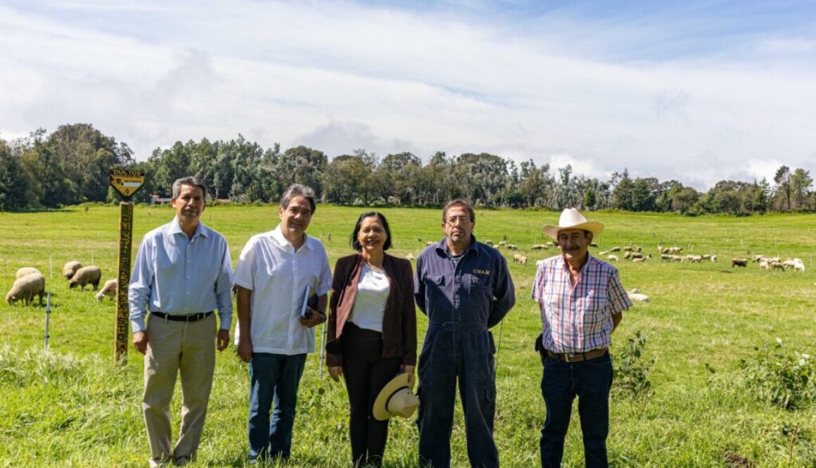 Imagen de WhatsApp 2025-09-22 a las 14.35.16_fb435944