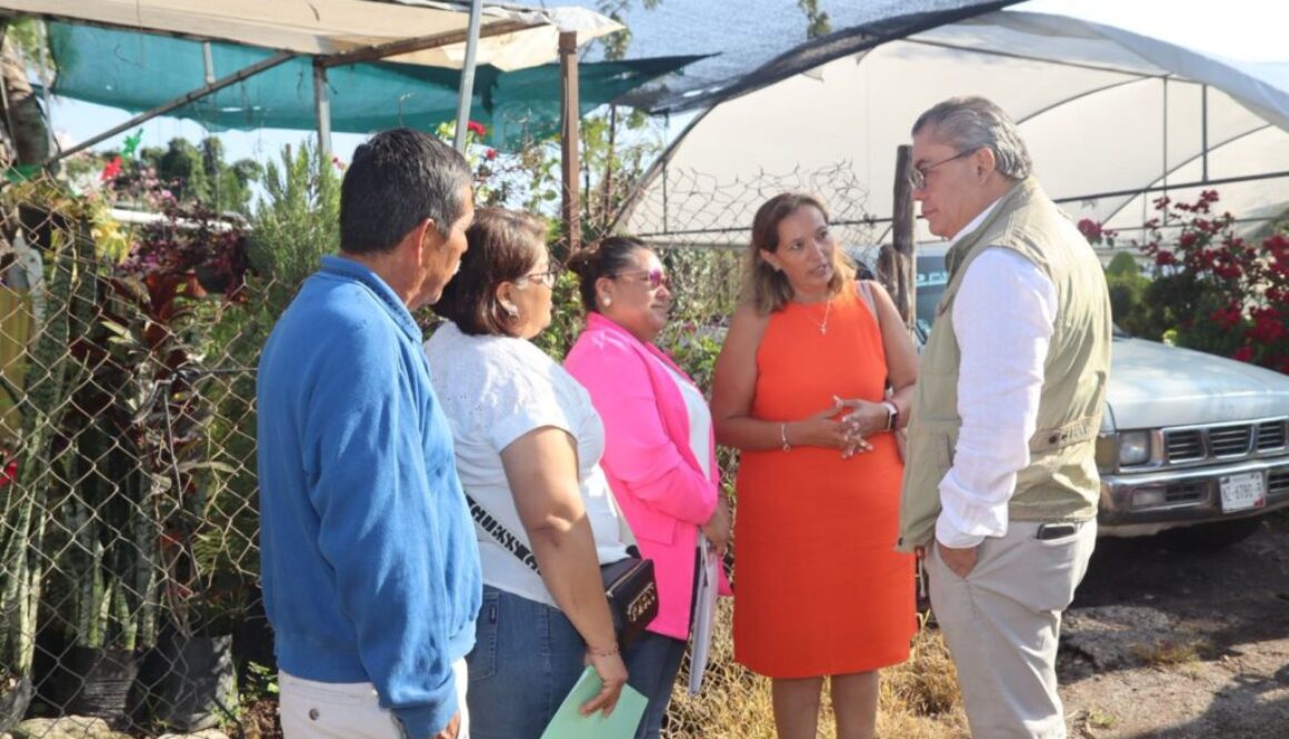 Imagen de WhatsApp 2025-09-23 a las 10.58.11_4e853924