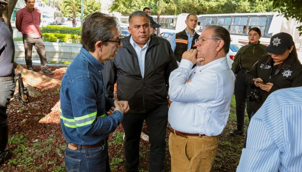Imagen de WhatsApp 2025-09-23 a las 11.54.54_2f239b3c