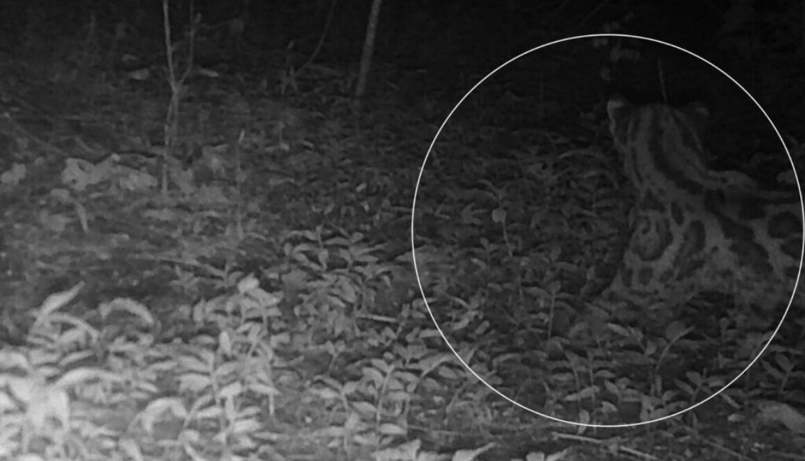 Imagen de WhatsApp 2025-09-24 a las 08.52.35_e1a237bc