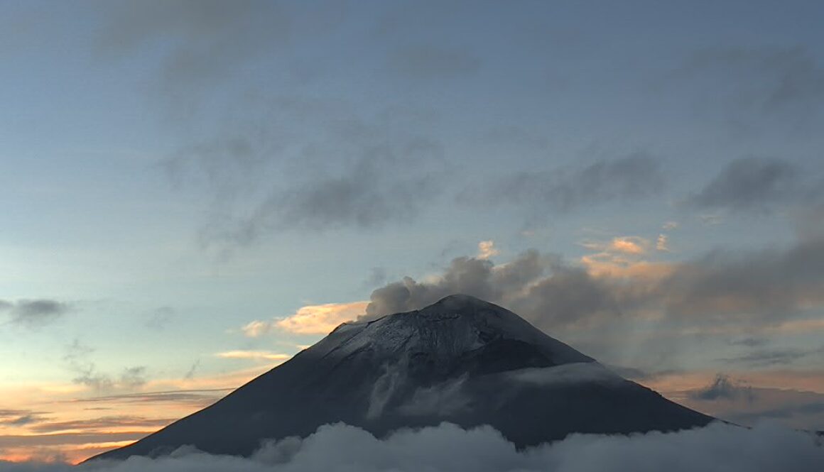 Imagen de WhatsApp 2025-09-24 a las 12.00.08_5b0ebda8