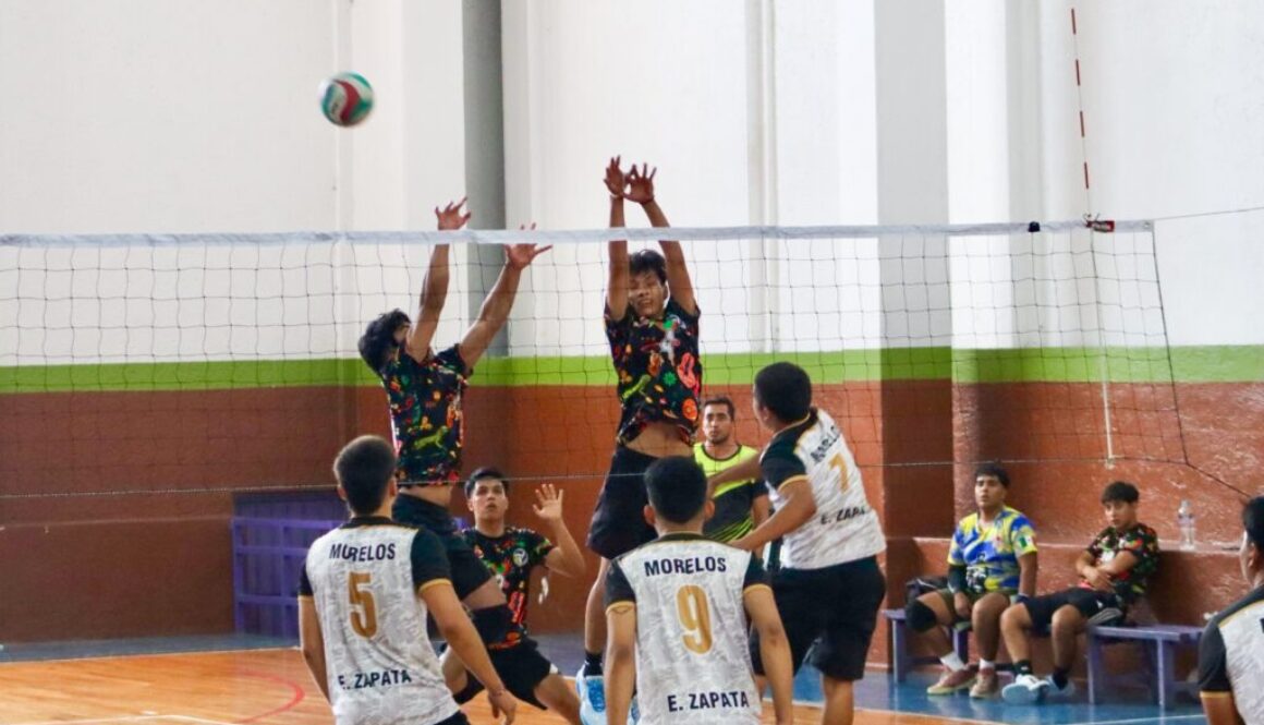 Imagen de WhatsApp 2025-09-25 a las 11.50.05_fa9027b1