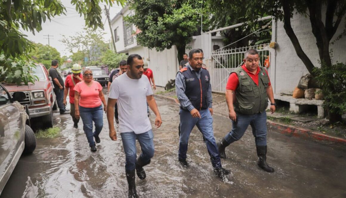 Imagen de WhatsApp 2025-09-25 a las 13.10.08_f9b1b357