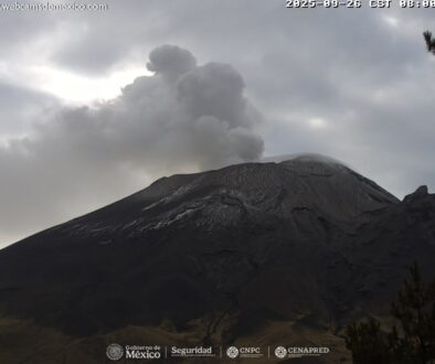 Imagen de WhatsApp 2025-09-26 a las 11.15.28_9123ac6b