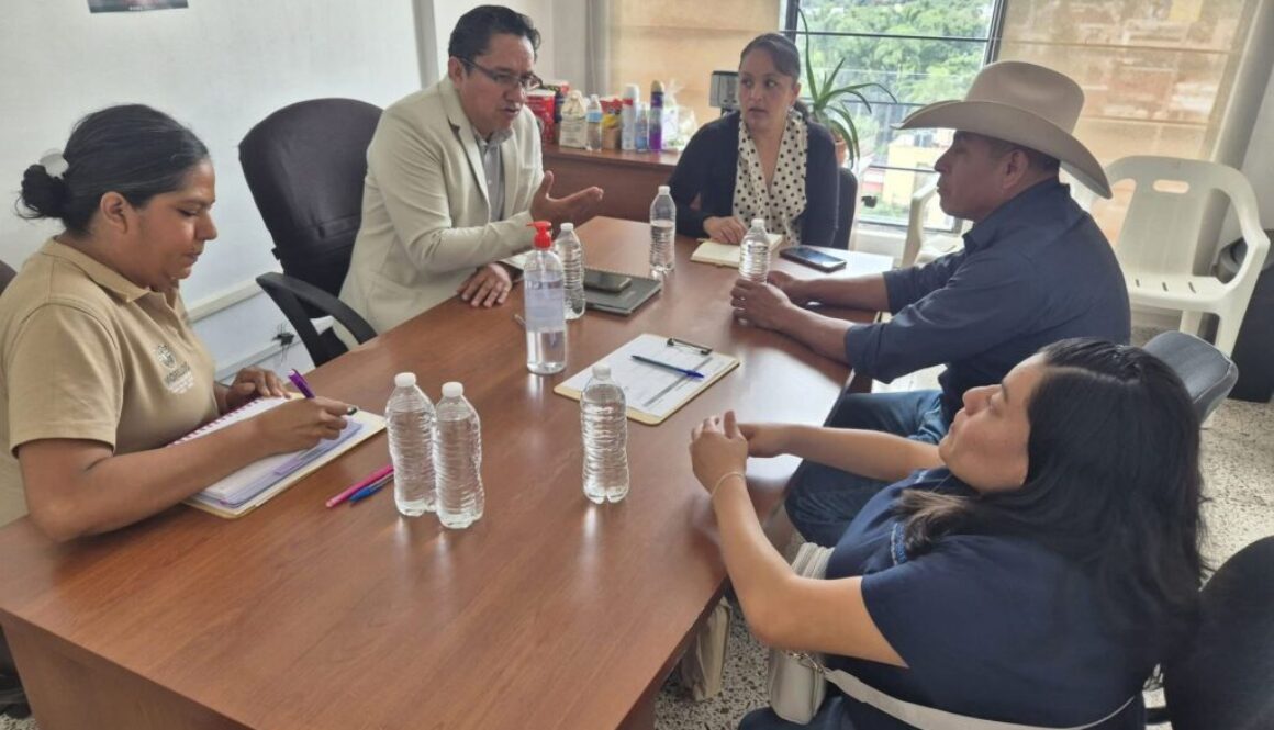 Imagen de WhatsApp 2025-09-26 a las 13.55.25_f7ab691e