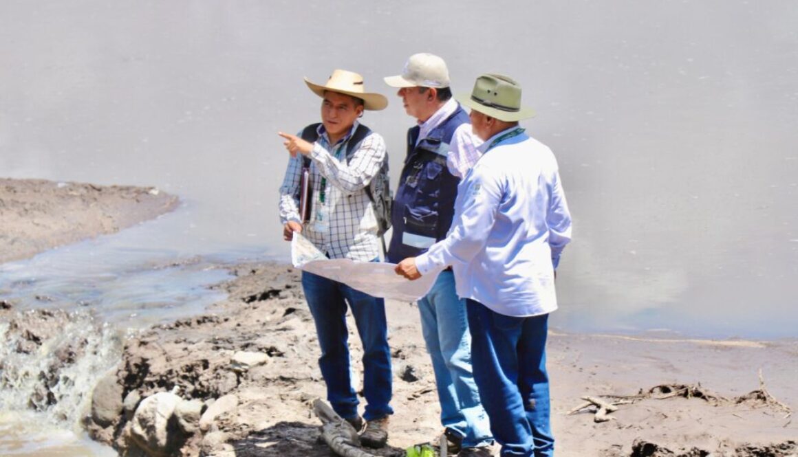 Imagen de WhatsApp 2025-09-27 a las 14.50.19_d06d49cf