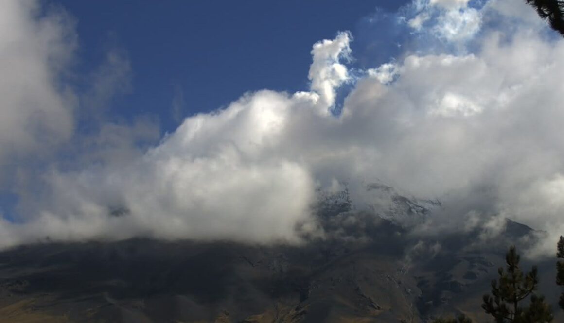 Imagen de WhatsApp 2025-09-29 a las 11.50.15_abf07a4e