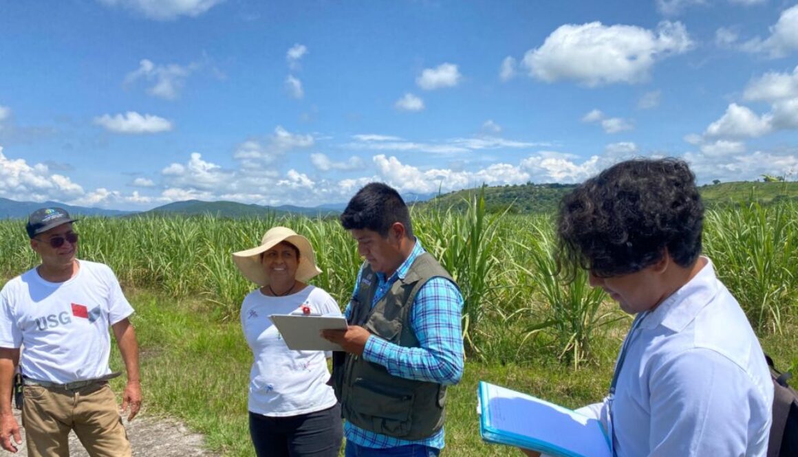 Imagen de WhatsApp 2025-09-30 a las 14.45.12_f32257f4