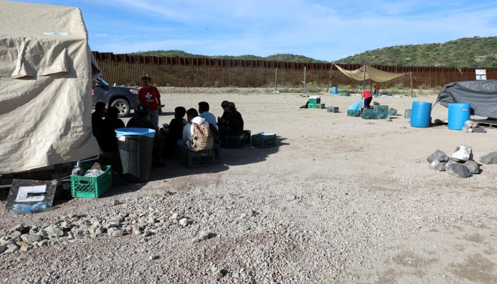buena migrantes