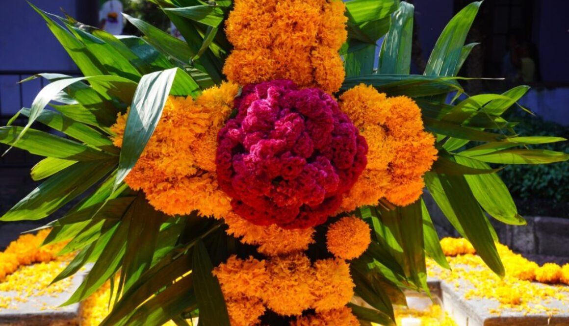 05196572-33f2-44c5-ba18-9285e41ad3f8