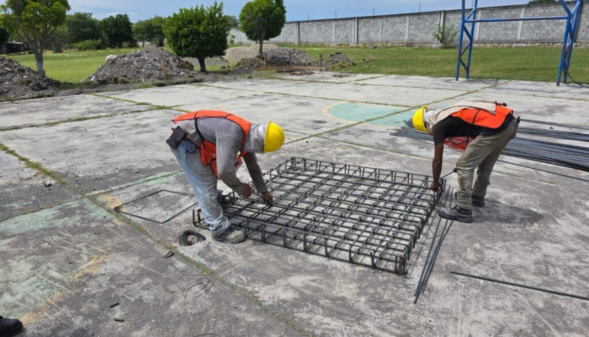 3a249c16-1679-4d0e-acaa-bbc3a938295f