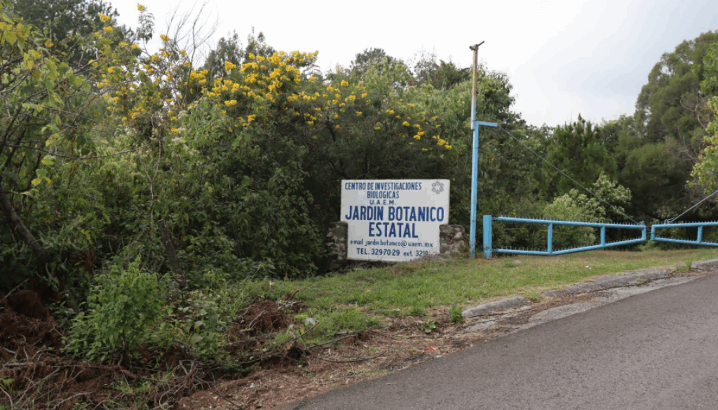 Captura de pantalla 2025-10-30 173736 Captura de pantalla 2025-10-30 173736