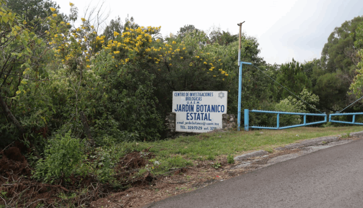 Captura de pantalla 2025-10-30 173736