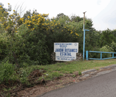 Captura de pantalla 2025-10-30 173736 Captura de pantalla 2025-10-30 173736