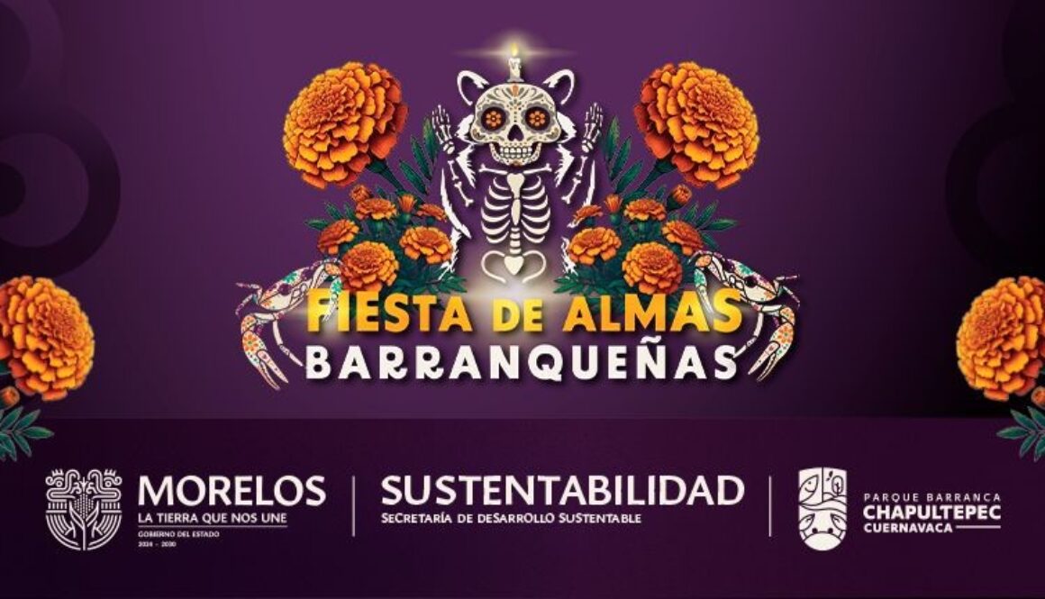 IMG-20251030-WA00302