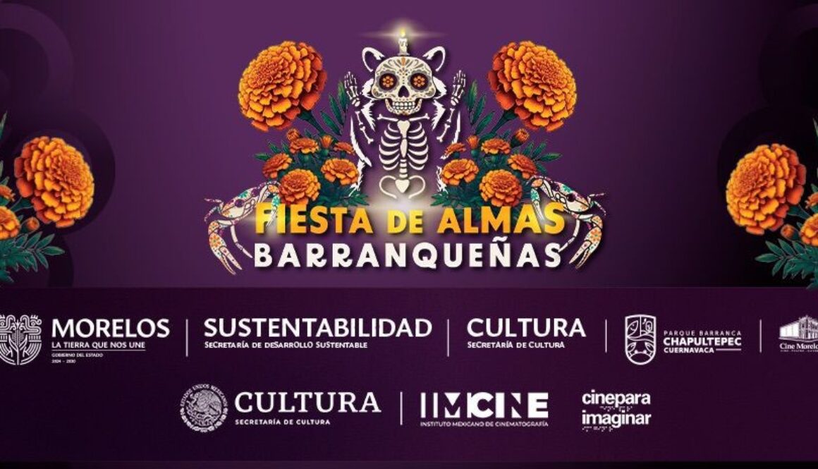 IMG-20251031-WA00212