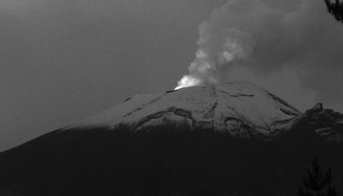 Imagen de WhatsApp 2025-10-01 a las 12.10.13_b8d7b21f