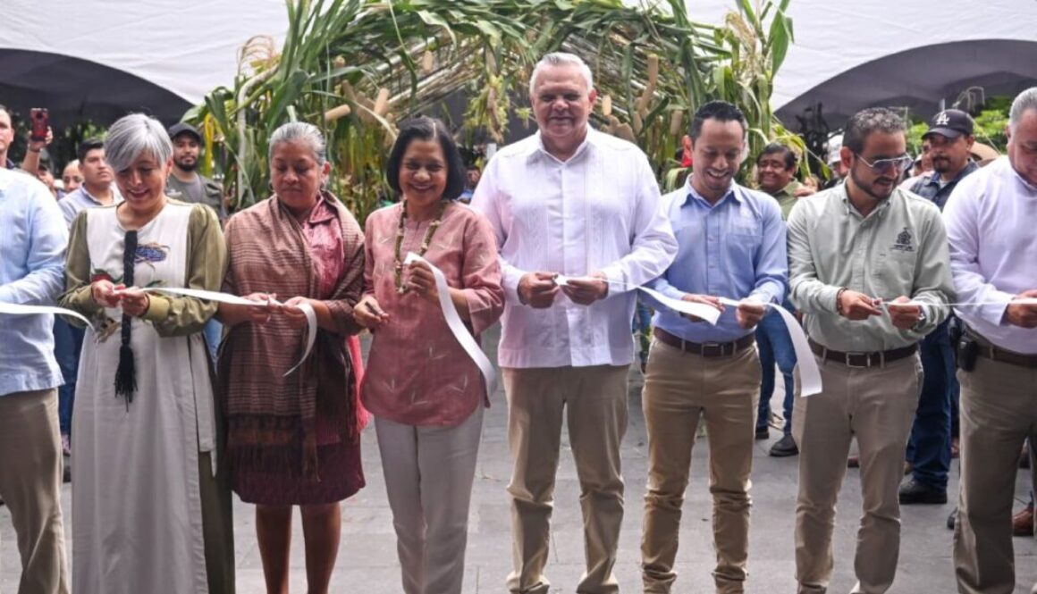 Imagen de WhatsApp 2025-10-03 a las 12.40.20_2a4c30fe