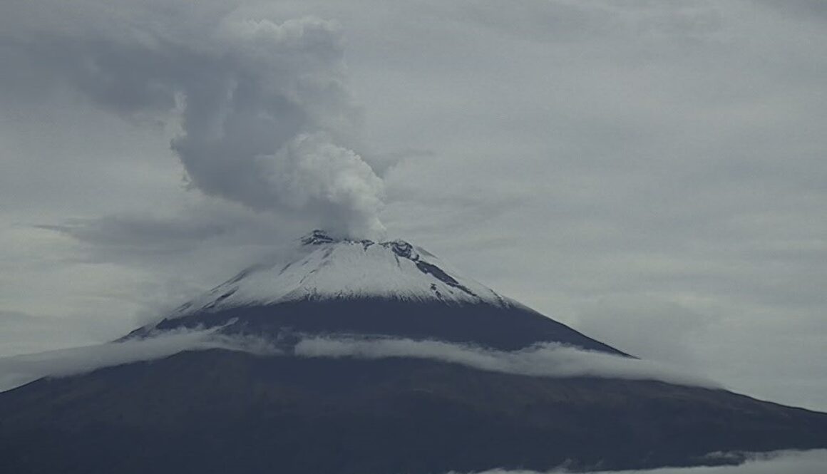 Imagen de WhatsApp 2025-10-06 a las 11.56.44_e059bb3b