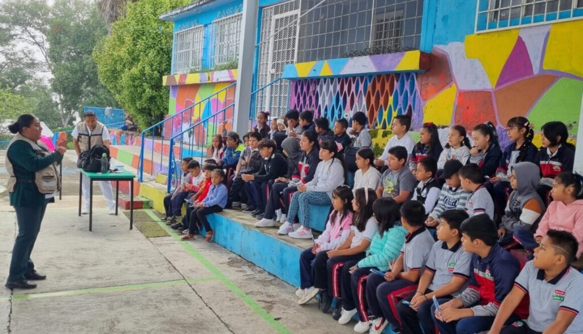 Imagen de WhatsApp 2025-10-06 a las 16.06.09_0f61b51d