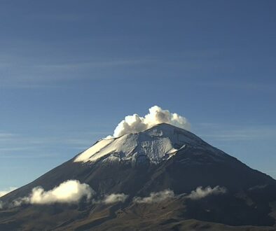 Imagen de WhatsApp 2025-10-07 a las 12.25.09_1b8991b3