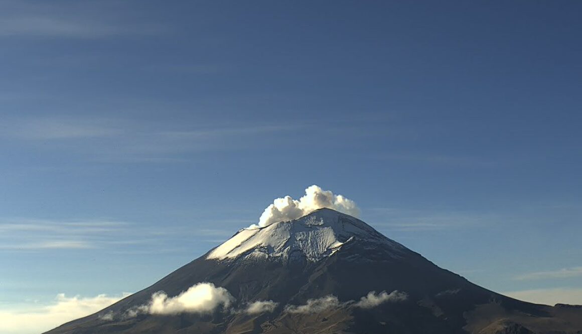 Imagen de WhatsApp 2025-10-08 a las 12.05.12_7a0e69a3