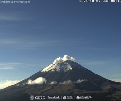 Imagen de WhatsApp 2025-10-08 a las 12.05.12_7a0e69a3