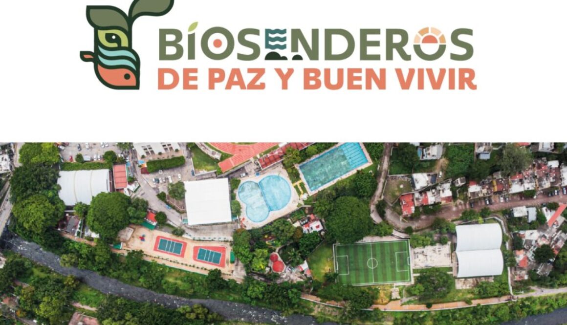 Imagen de WhatsApp 2025-10-09 a las 09.20.11_91eb019d