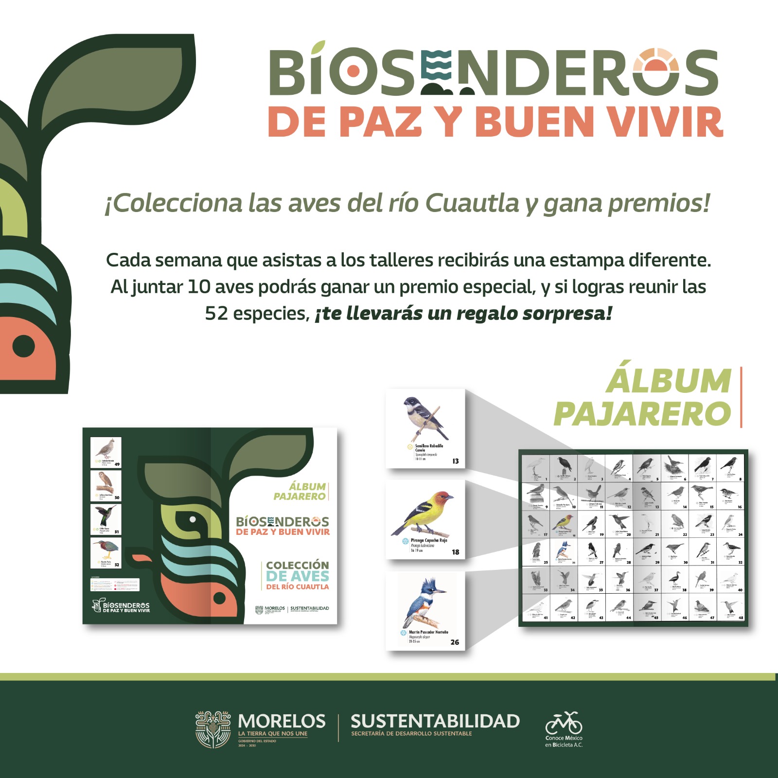 ARRANCA GOBIERNO DE MORELOS PROYECTO “BIOSENDEROS DE PAZ Y BUEN VIVIR” EN CUAUTLA ARRANCA GOBIERNO DE MORELOS PROYECTO “BIOSENDEROS DE PAZ Y BUEN VIVIR” EN CUAUTLA