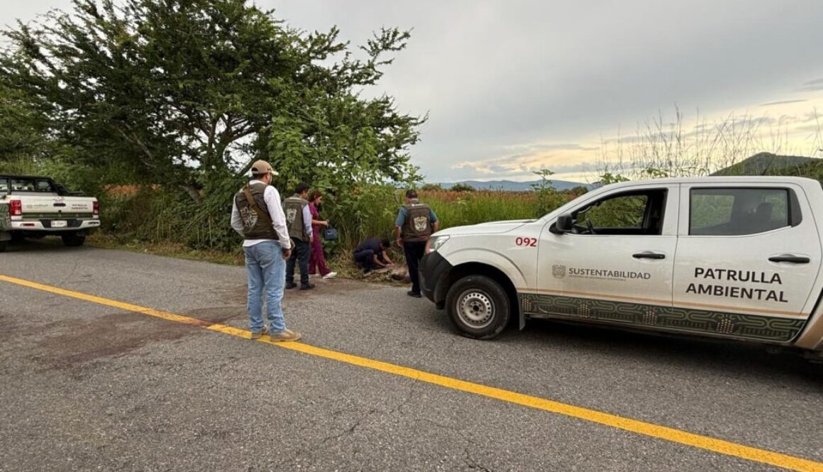 Imagen de WhatsApp 2025-10-10 a las 18.01.01_7c5ce3b3