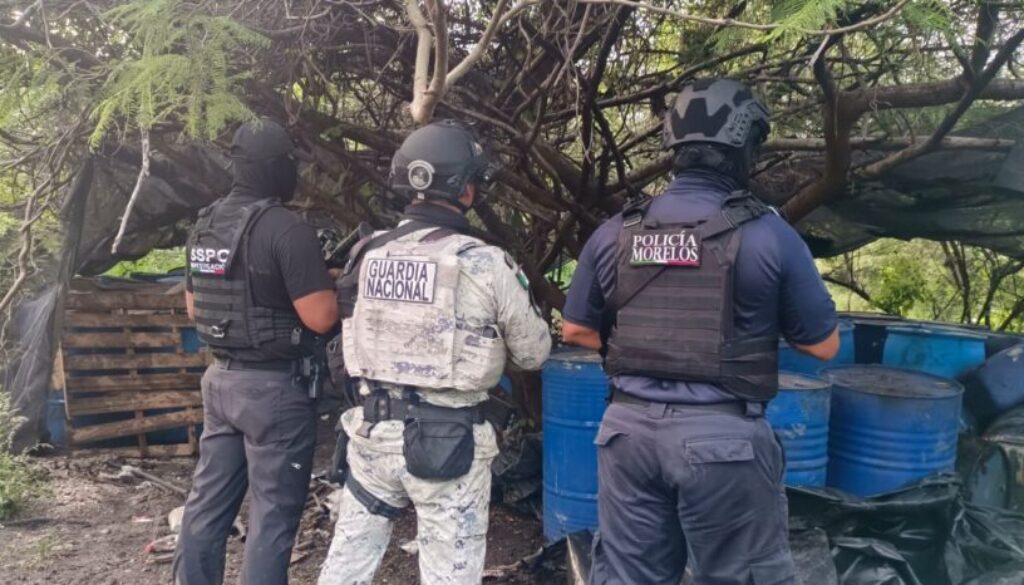 Imagen de WhatsApp 2025-10-11 a las 19.15.16_66911b17