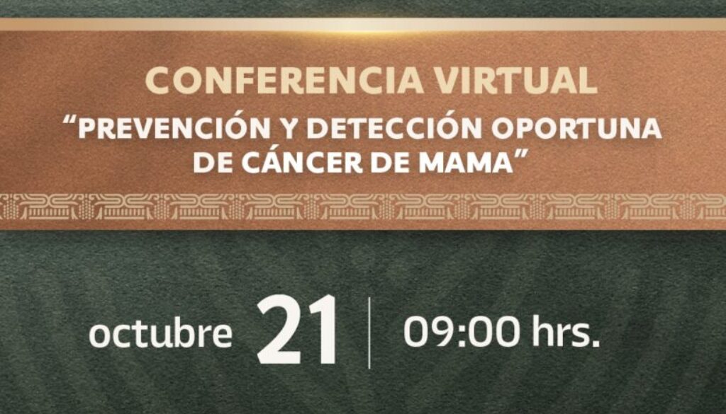 Imagen de WhatsApp 2025-10-12 a las 09.00.07_b6fa42b3