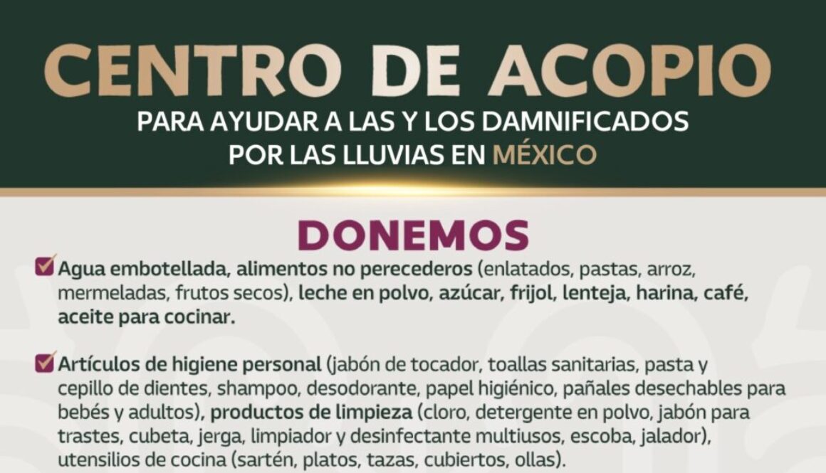 Imagen de WhatsApp 2025-10-13 a las 08.00.18_91a51f17