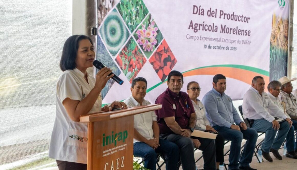 Imagen de WhatsApp 2025-10-13 a las 09.40.14_52303cd0