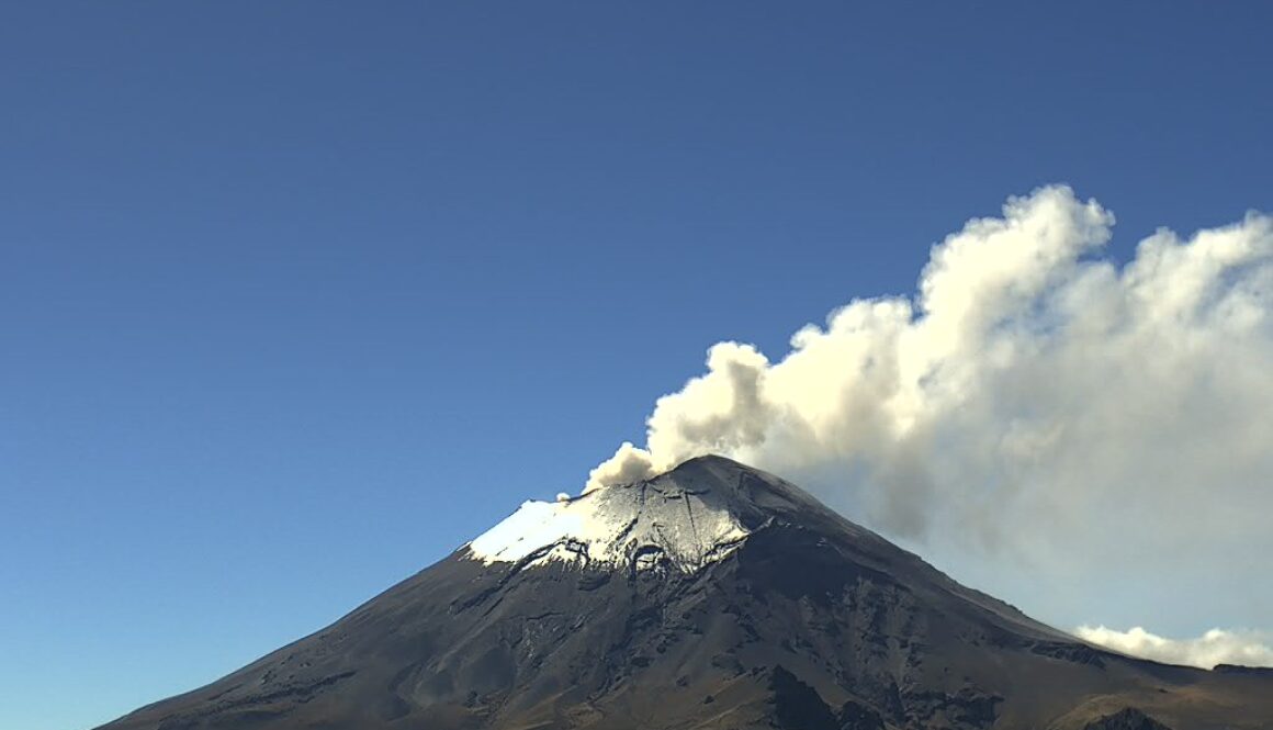 Imagen de WhatsApp 2025-10-13 a las 12.10.17_82215361