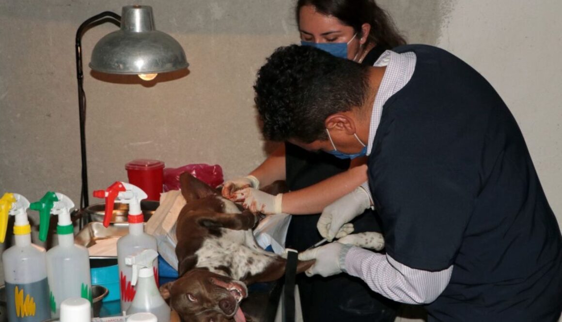 Imagen de WhatsApp 2025-10-15 a las 15.55.08_9a931280