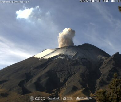 Imagen de WhatsApp 2025-10-16 a las 11.35.12_c4855c59