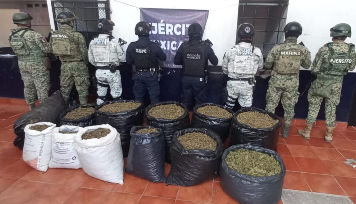 Imagen de WhatsApp 2025-10-17 a las 12.17.03_c3e26fab