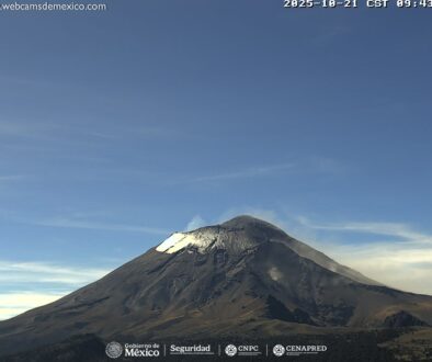 Imagen de WhatsApp 2025-10-21 a las 12.20.24_4564eff6