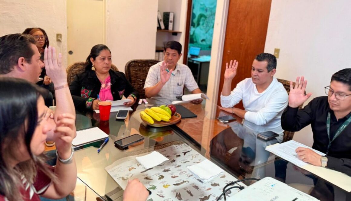 Imagen de WhatsApp 2025-10-22 a las 15.15.29_395b2b03