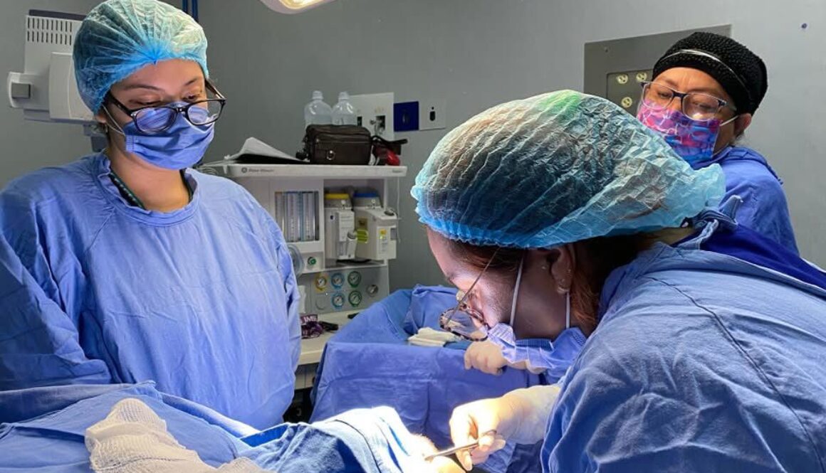 Imagen de WhatsApp 2025-10-24 a las 11.56.06_e126b1b2