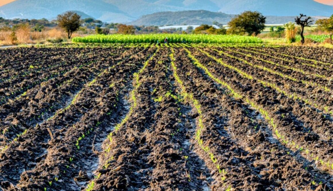 Imagen de WhatsApp 2025-10-24 a las 17.15.45_25519849