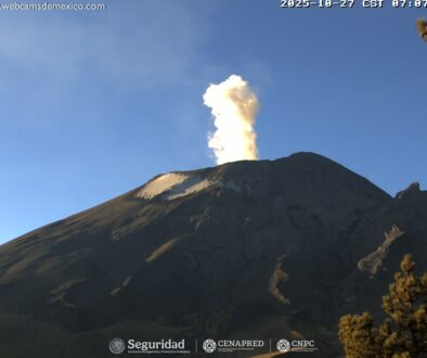 Imagen de WhatsApp 2025-10-27 a las 12.29.37_adc85e70 Imagen de WhatsApp 2025-10-27 a las 12.29.37_adc85e70