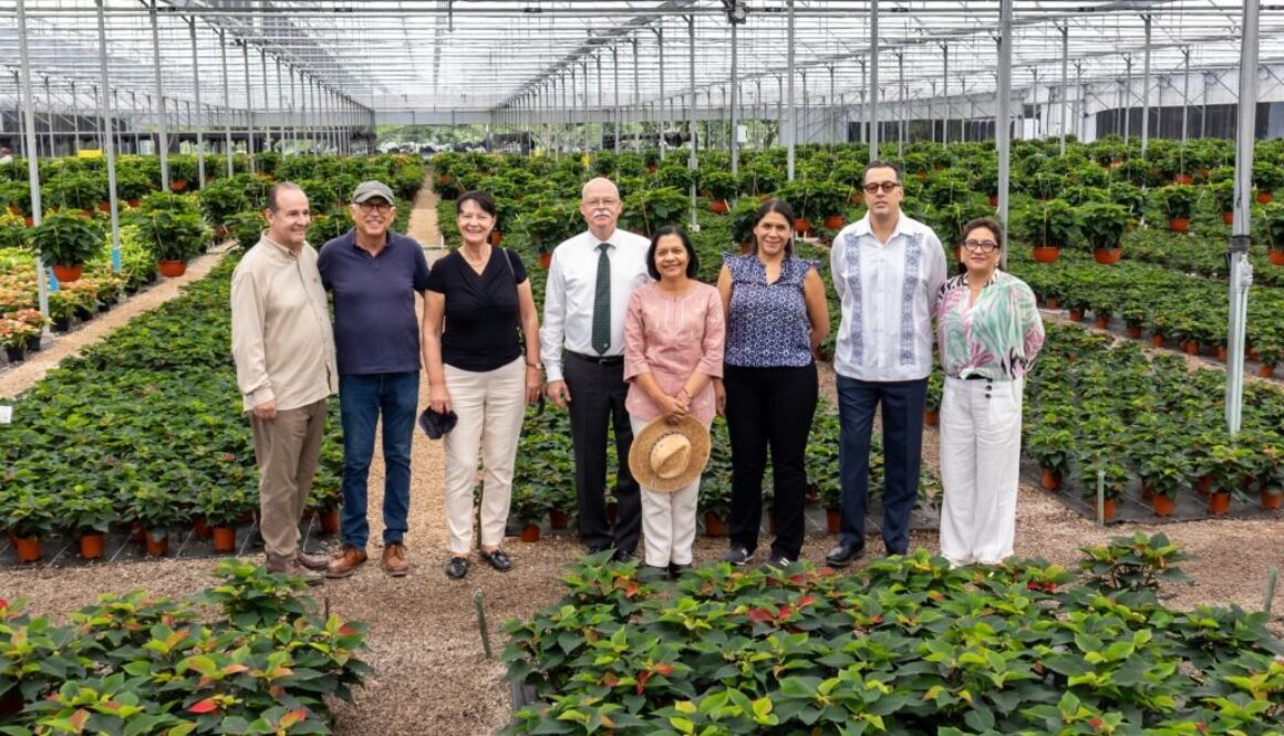 Imagen de WhatsApp 2025-10-28 a las 10.40.19_2ea274c7