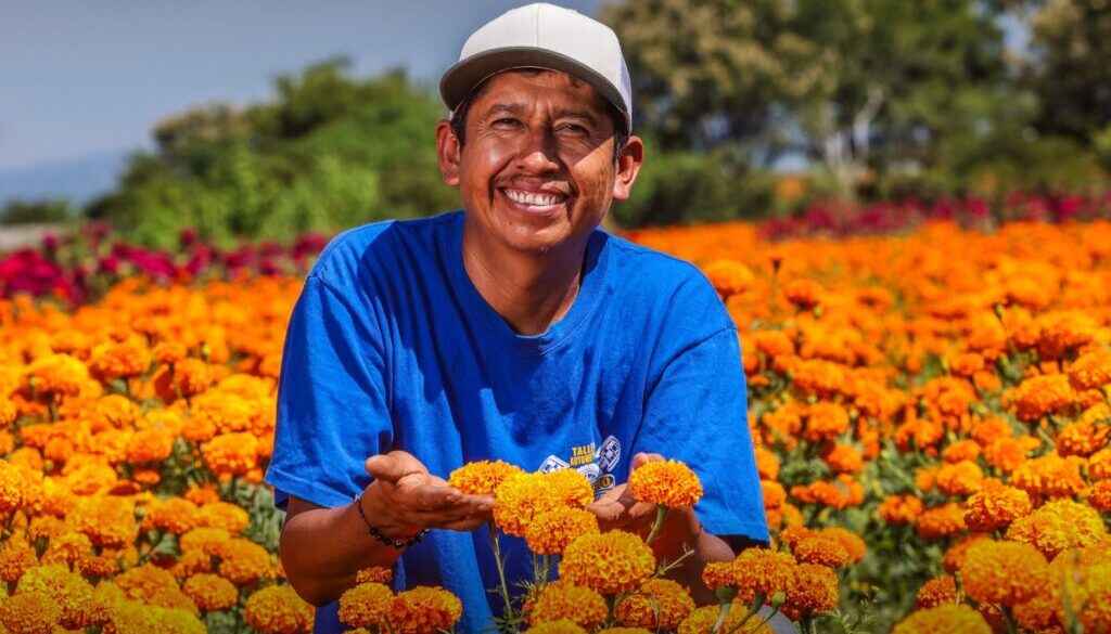 Imagen de WhatsApp 2025-10-28 a las 11.30.14_528fd287 Imagen de WhatsApp 2025-10-28 a las 11.30.14_528fd287