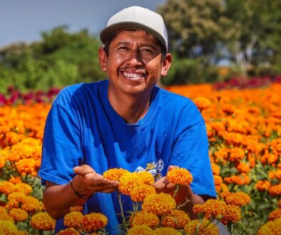 Imagen de WhatsApp 2025-10-28 a las 11.30.14_528fd287 Imagen de WhatsApp 2025-10-28 a las 11.30.14_528fd287